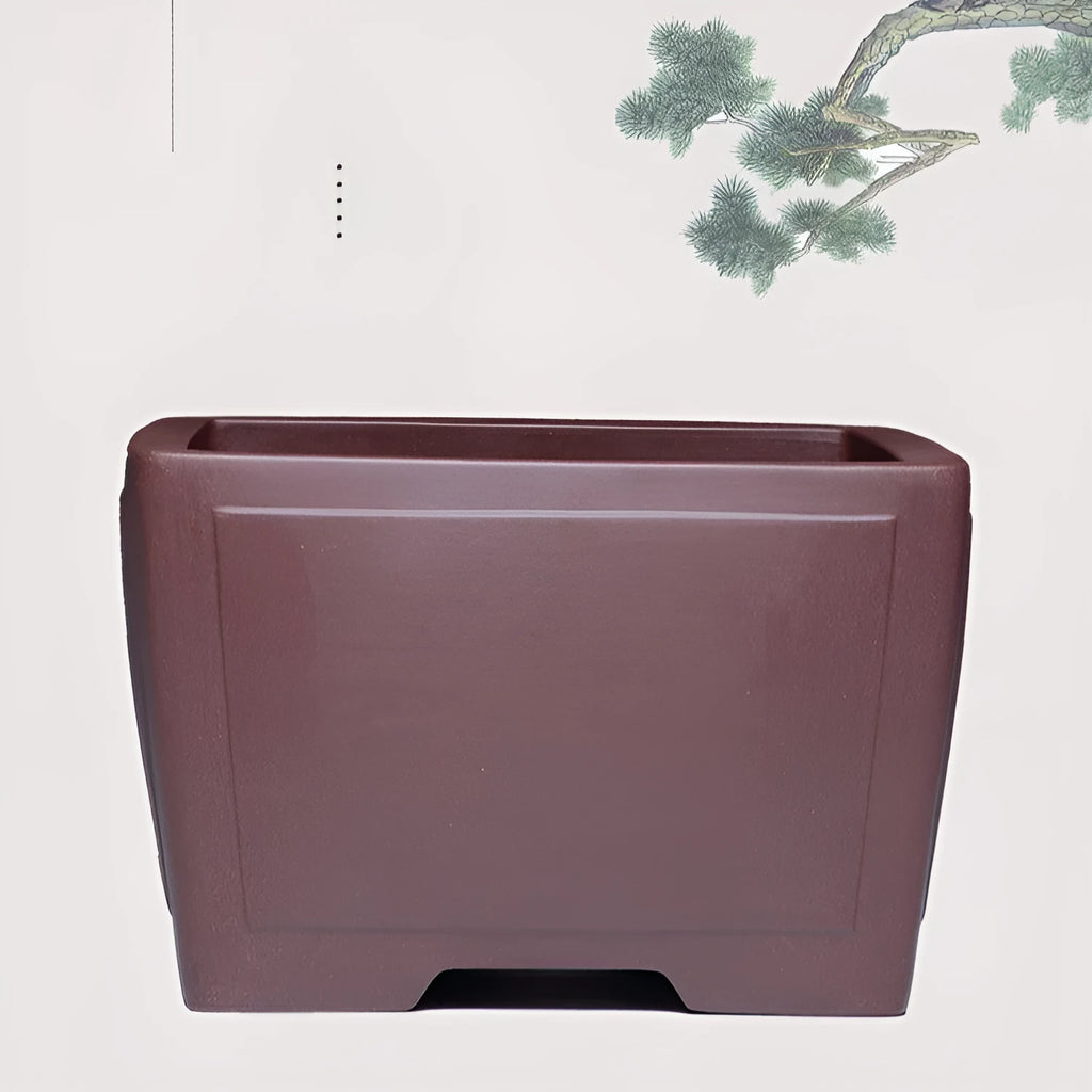 Square purple clay succulent bonsai pot in classical styling with multiple size options for tabletop or floor display