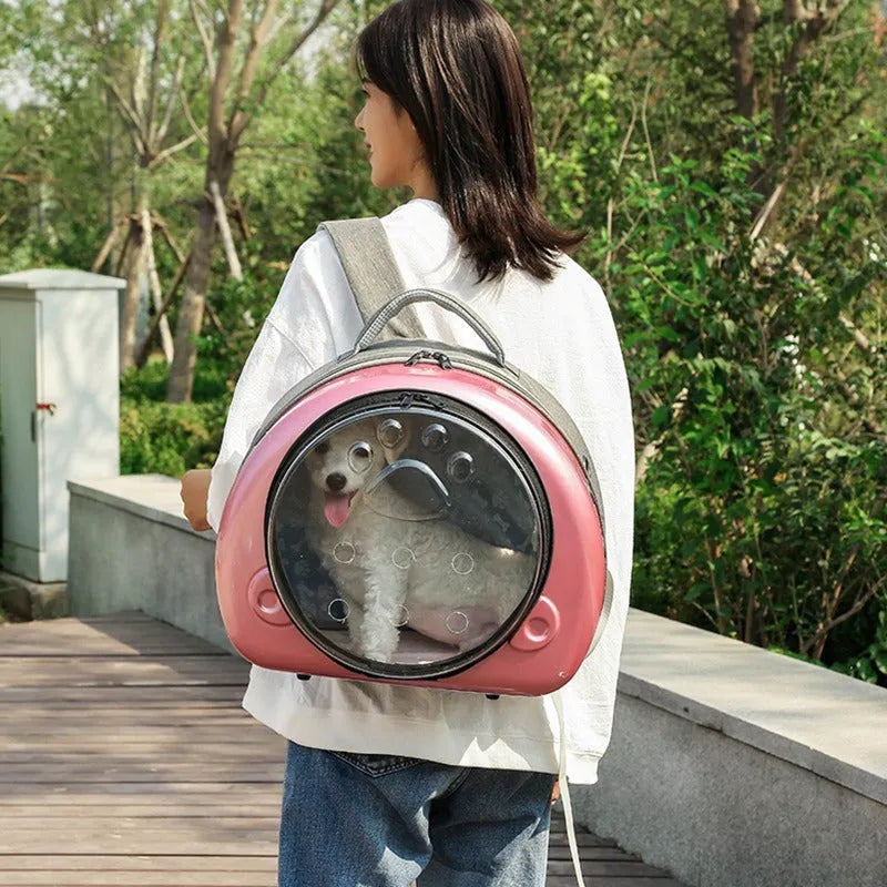 Transparent space capsule-style cat carrier bag with metallic-coloured front shell, on a white background.