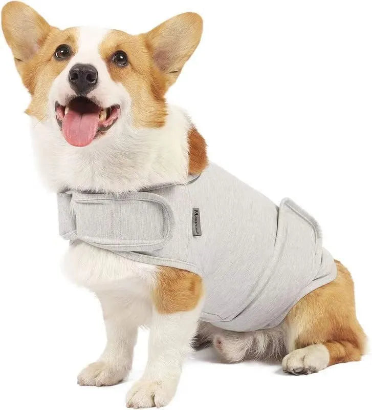 Dog wearing brown brocade cotton tank top for separation anxiety relief