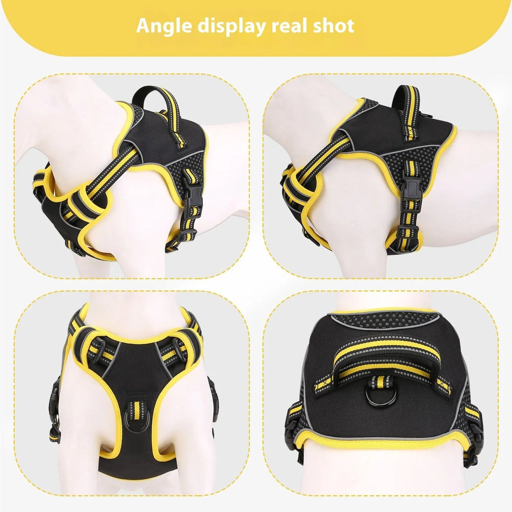 Orange polyester dog harness and leash set with anti-escape design shown on medium-sized dog