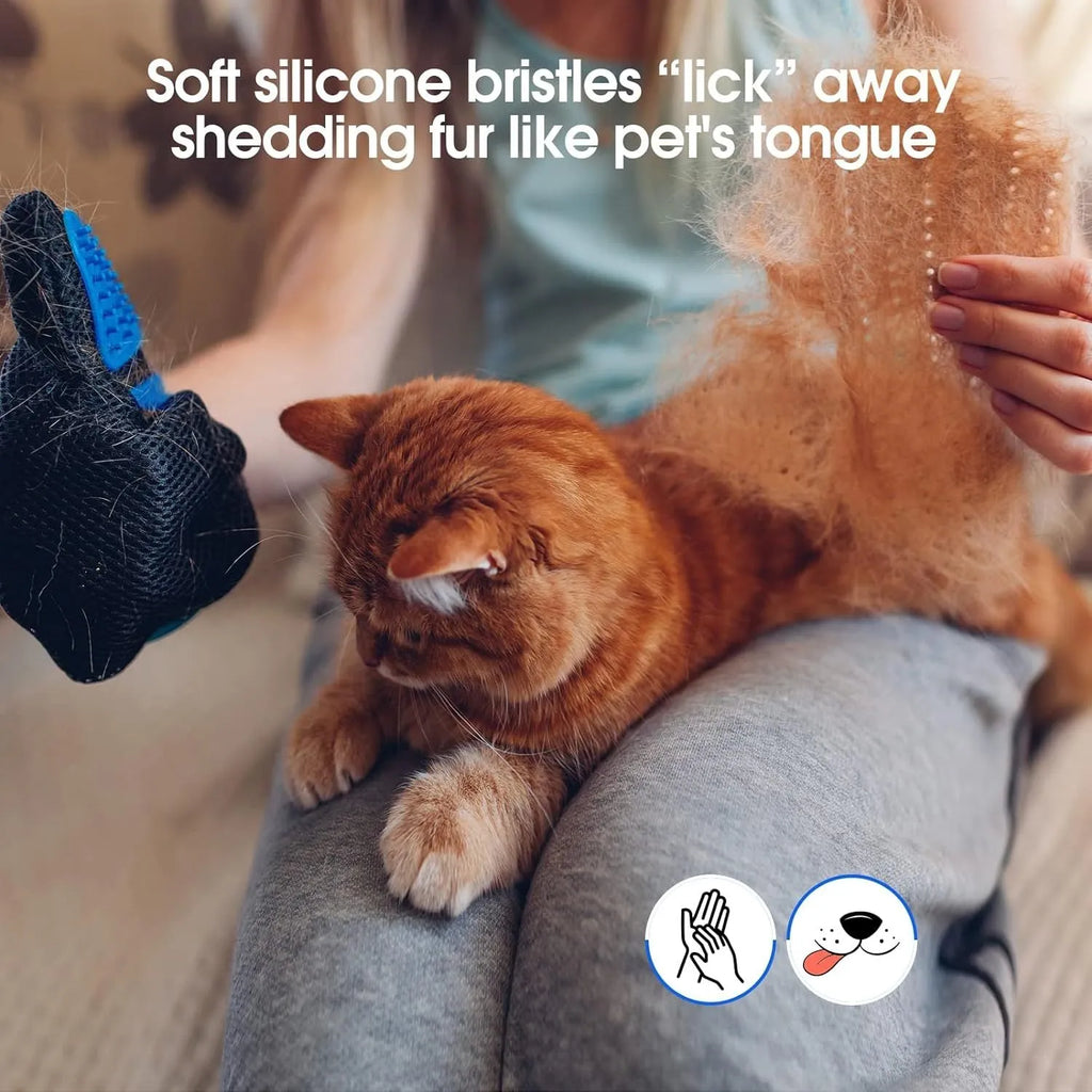 Blue pet grooming gloves with silicone tips for dog and cat hair removal during brushing and bathing