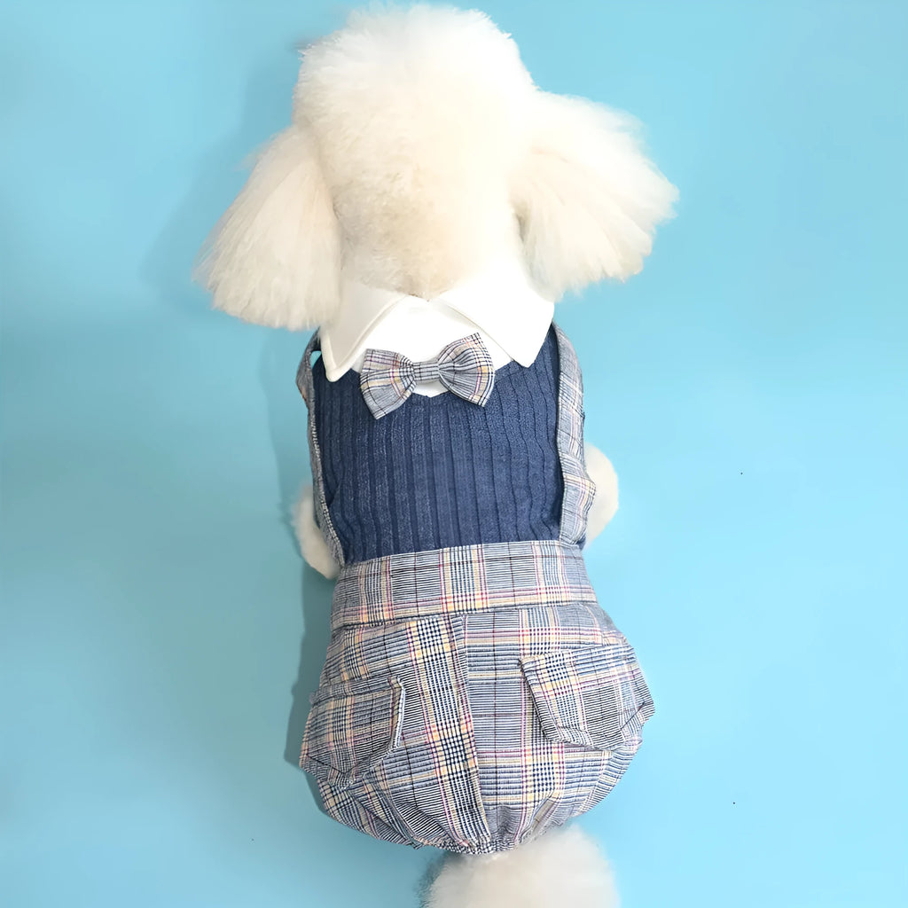 Orange and dark blue cotton dog shirt suit for small dogs on a hanger
