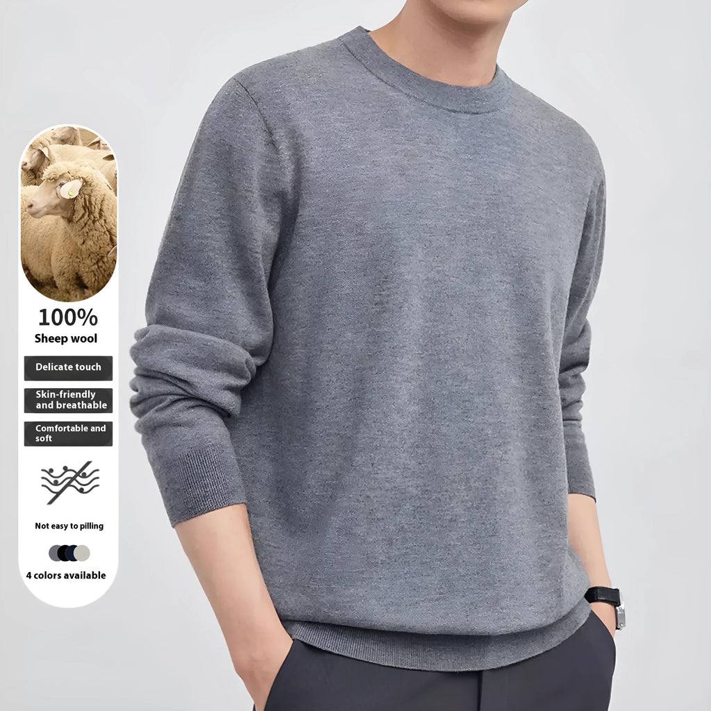 Men's regular fit pullover sweater in standard wool, shown in light grey colour.