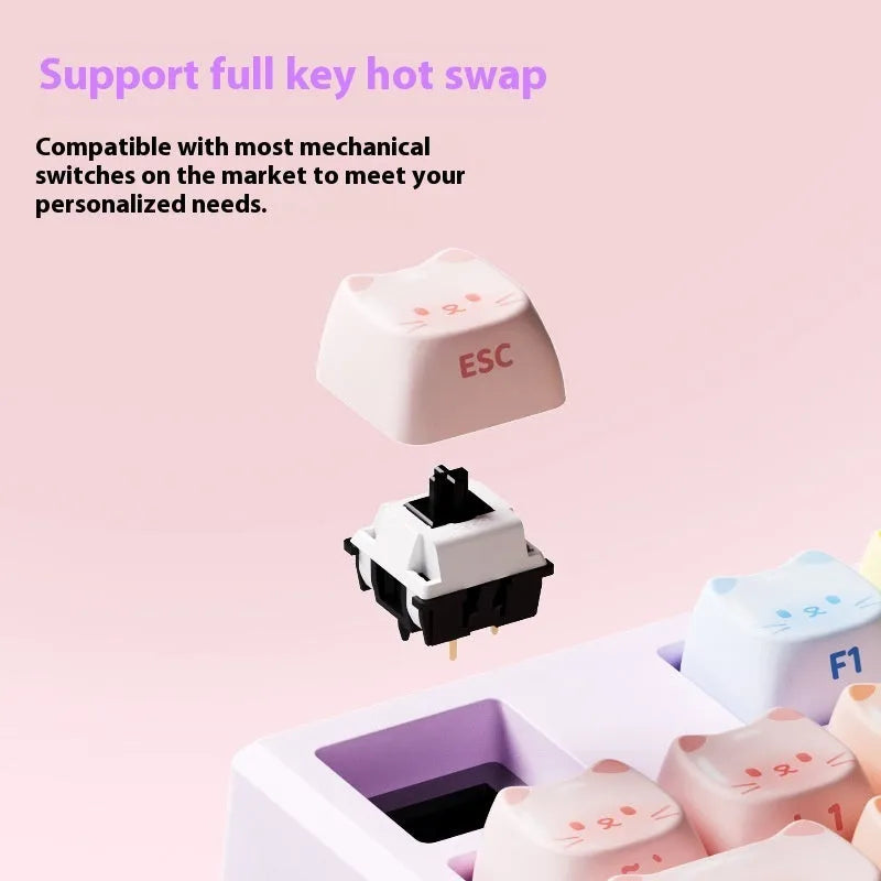 Colour Sugar Cat mechanical keyboard with Bluetooth connectivity showing MG108B Piano Shaft switches