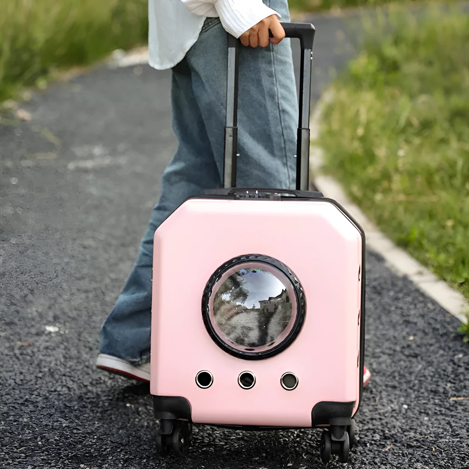 Hard-sided burgundy pet flight case on wheels with extendable handle for cat transport.
