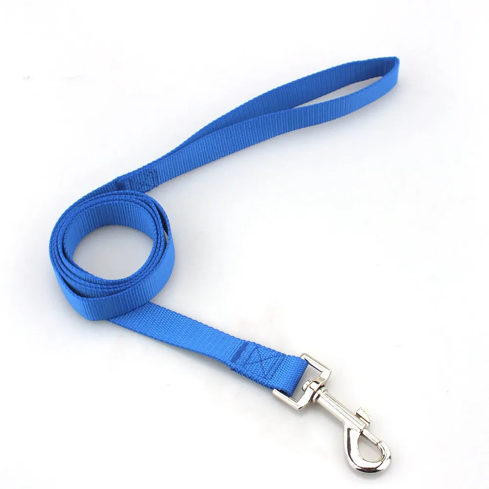 Solid colour nylon dog lead rope in blue, shown with a 120cm length and a hand holding it.