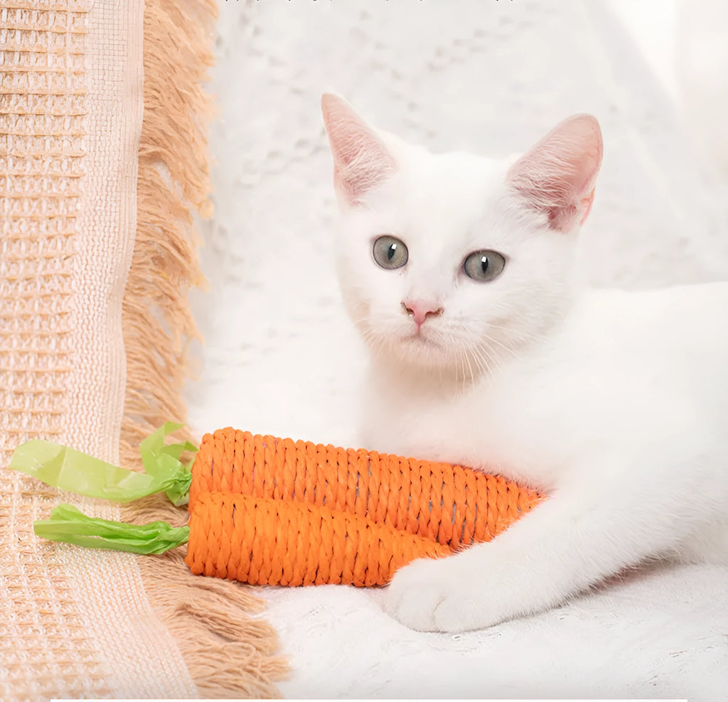 Assortment of cat toys including carrot bites, paper toys, ringing stones, sticks and tooth grinding sticks