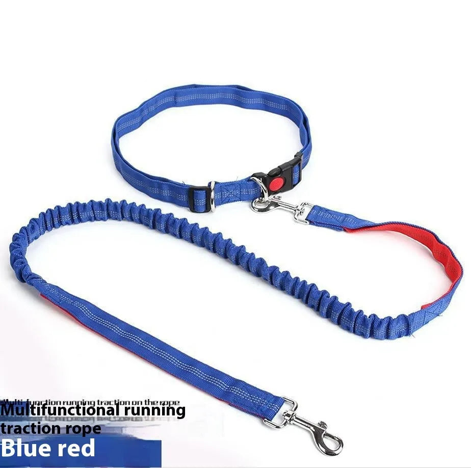Grey and green two-tone nylon dog leash with reflective threads and an elastic section for outdoor running.