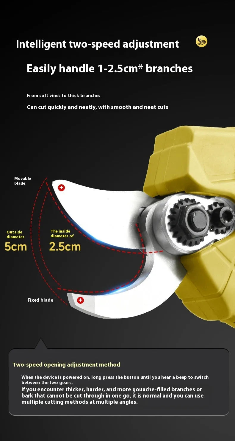 Cordless electric pruning shears with lithium battery in a plastic storage case.