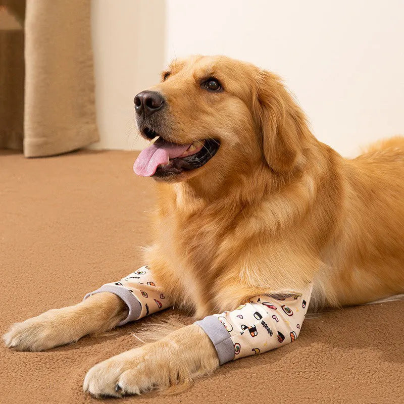 Dog wearing blue knee protector with padded elbow patch and matching scarf with dog print