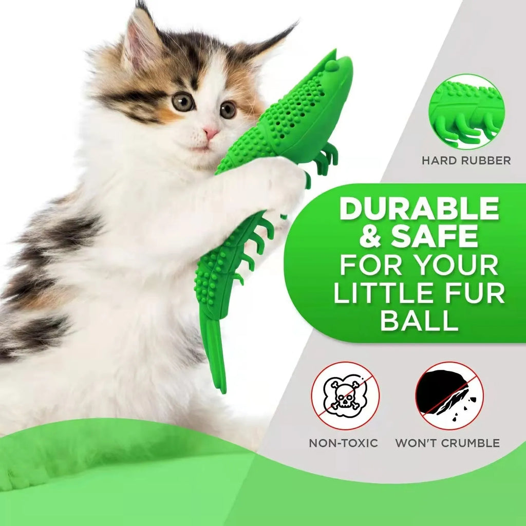 Blue hard rubber cat chew toy for dental cleaning with catnip centre.