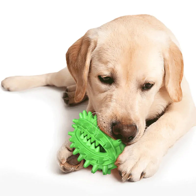 Green cactus-shaped rubber dog chew toy for dental care and aggressive chewing.