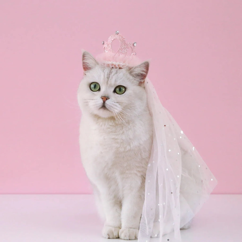 Beige and pink Princess crown veil headdress for a cat on a mannequin head.