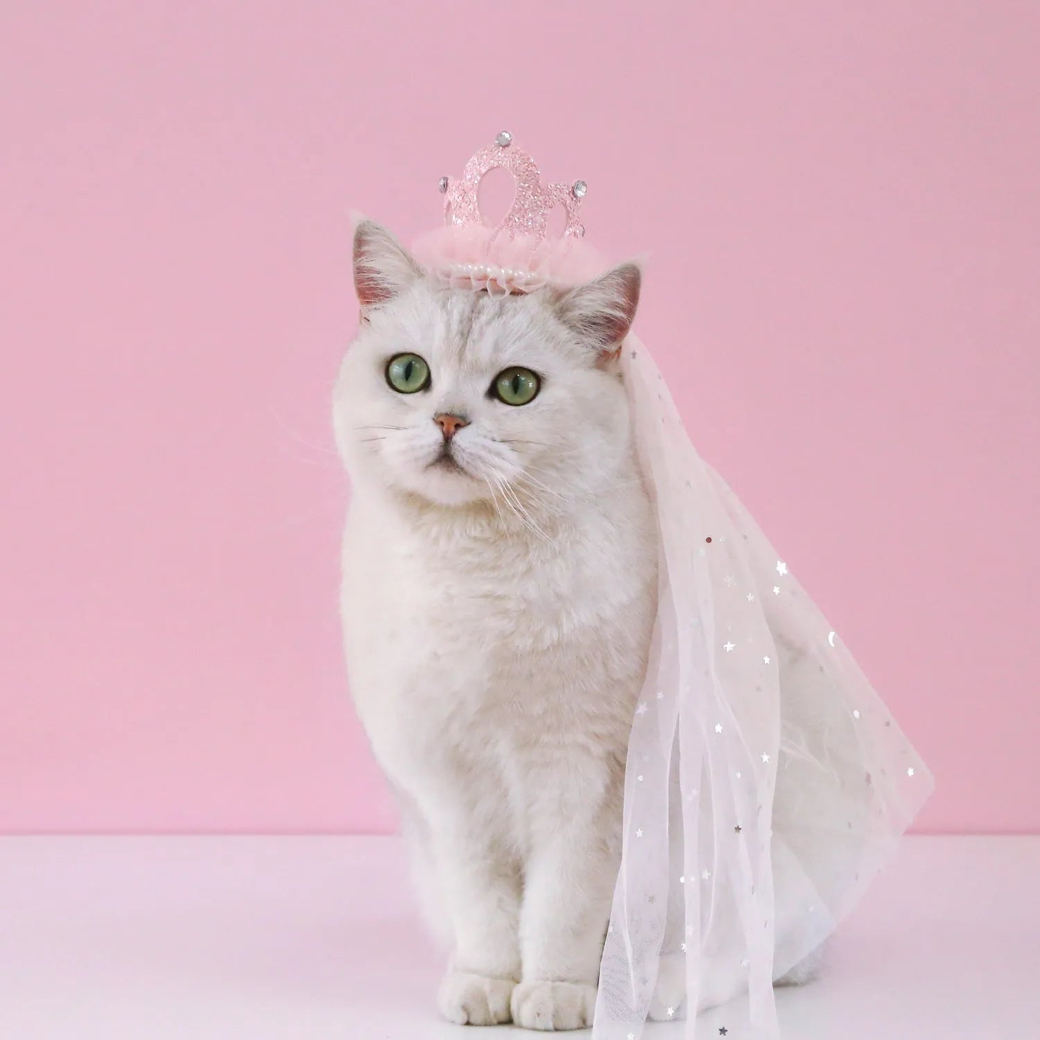 Beige and pink Princess crown veil headdress for a cat on a mannequin head.