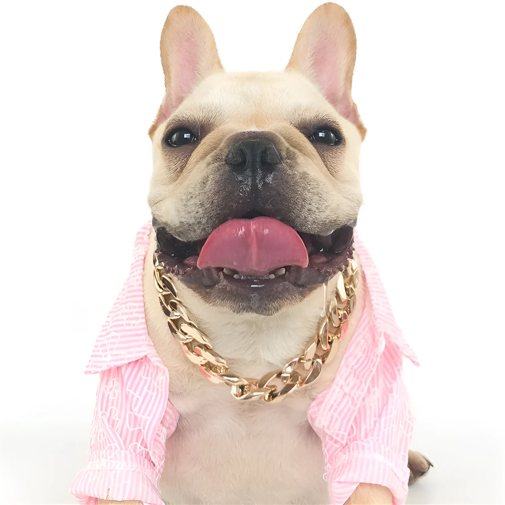 Gold colour chain dog collar with geometric design and adjustable buckle for small to medium sized pets