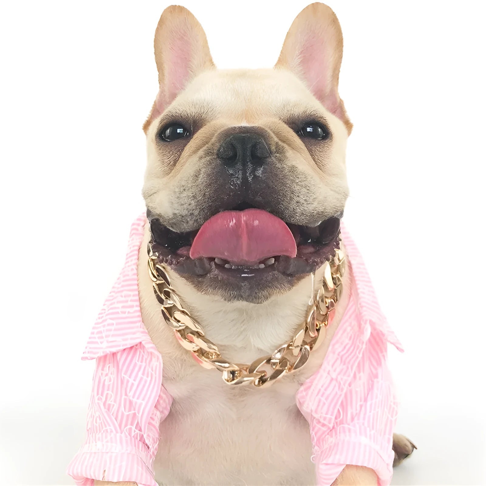 Gold colour chain dog collar with geometric design and adjustable buckle for small to medium sized pets
