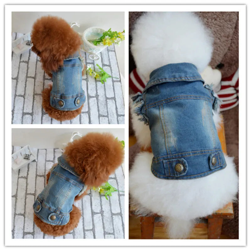 Denim dog vest with retro scratch pattern for small breeds in dark and light colour options