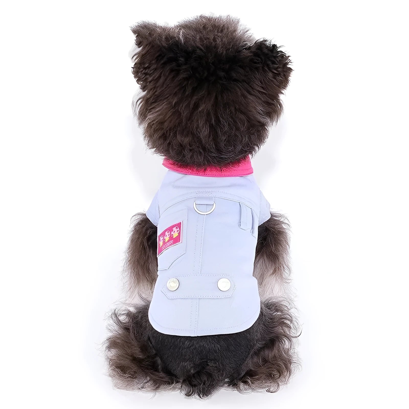 Blue summer dog vest with traction ring on small dog showing lightweight polyester construction