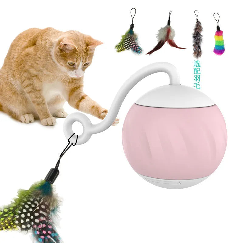 Electric glowing cat ball toy in watermelon and pumpkin designs for pet play.