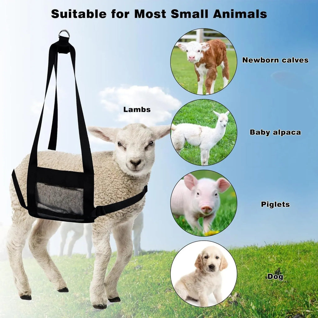 Black PVC-coated calf weighing sling with adjustable straps on a white background.