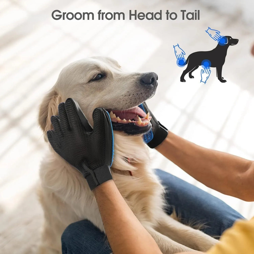 Blue pet grooming gloves with silicone tips for dog and cat hair removal during brushing and bathing