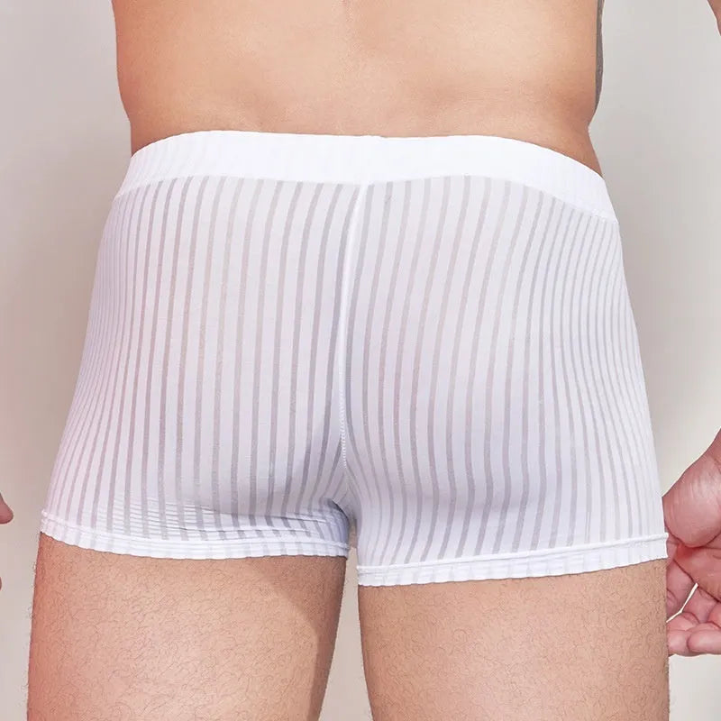 Men's striped underwear in thin transparent nylon fabric showing black, dark grey and white colour options