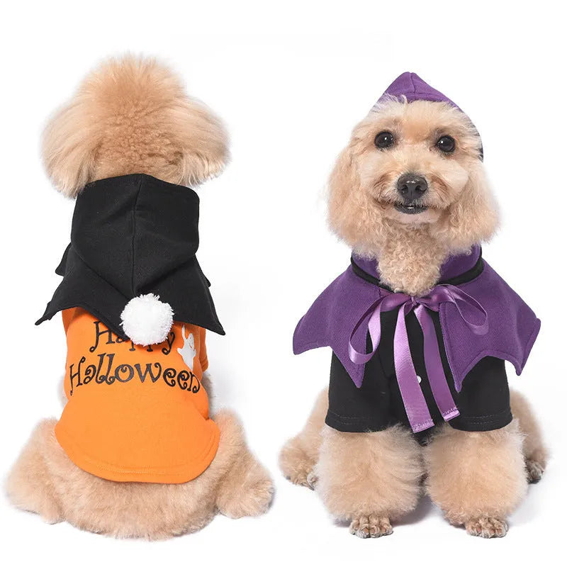 Black and orange Halloween dog costume with pumpkin design showing sweater and shawl two-piece construction