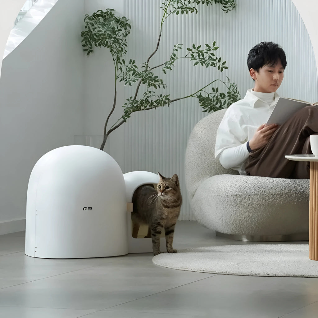 Oversized enclosed cat litter box in ABS plastic shown in moss green colour