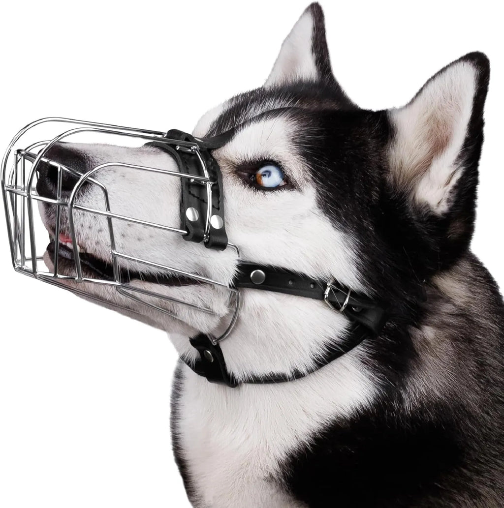 Black metal basket dog muzzle for a Golden Retriever or German Shepherd