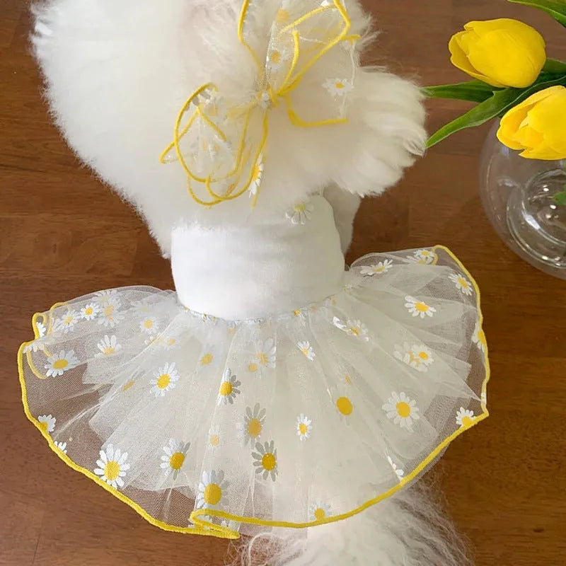 Yellow daisy print dog clothes made from thin polyester fabric for summer wear