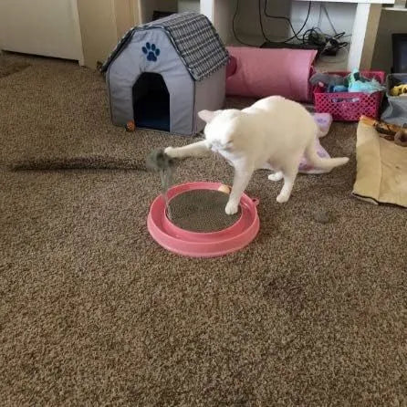 Round corrugated cardboard cat scratcher toy with blue or pink track, rolling ball, and mouse swatter attachment on white background