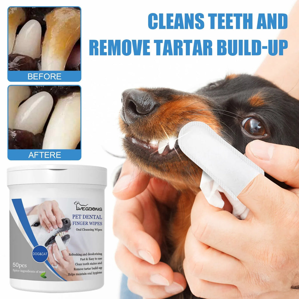 Can of 50 disposable dog dental finger stalls for teeth cleaning and plaque removal