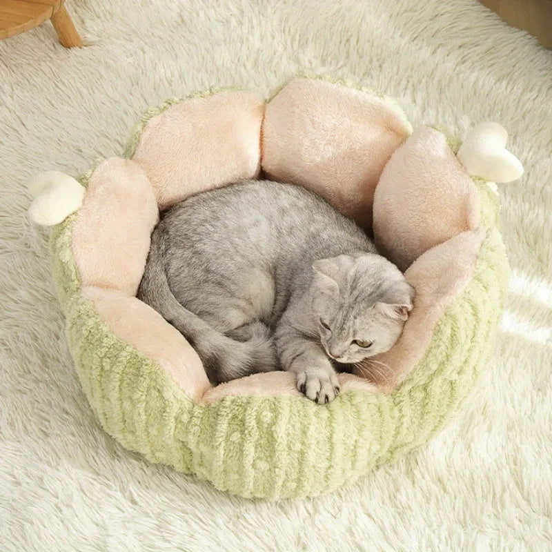 Soft green cactus-shaped pet kennel for cats and dogs on a wooden floor.