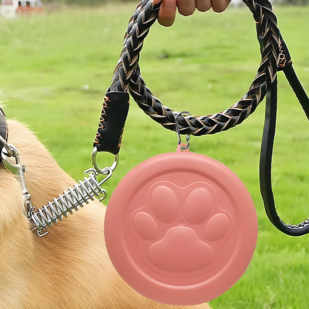 Portable dog bowl in green or pink showing S and L size options for outdoor feeding