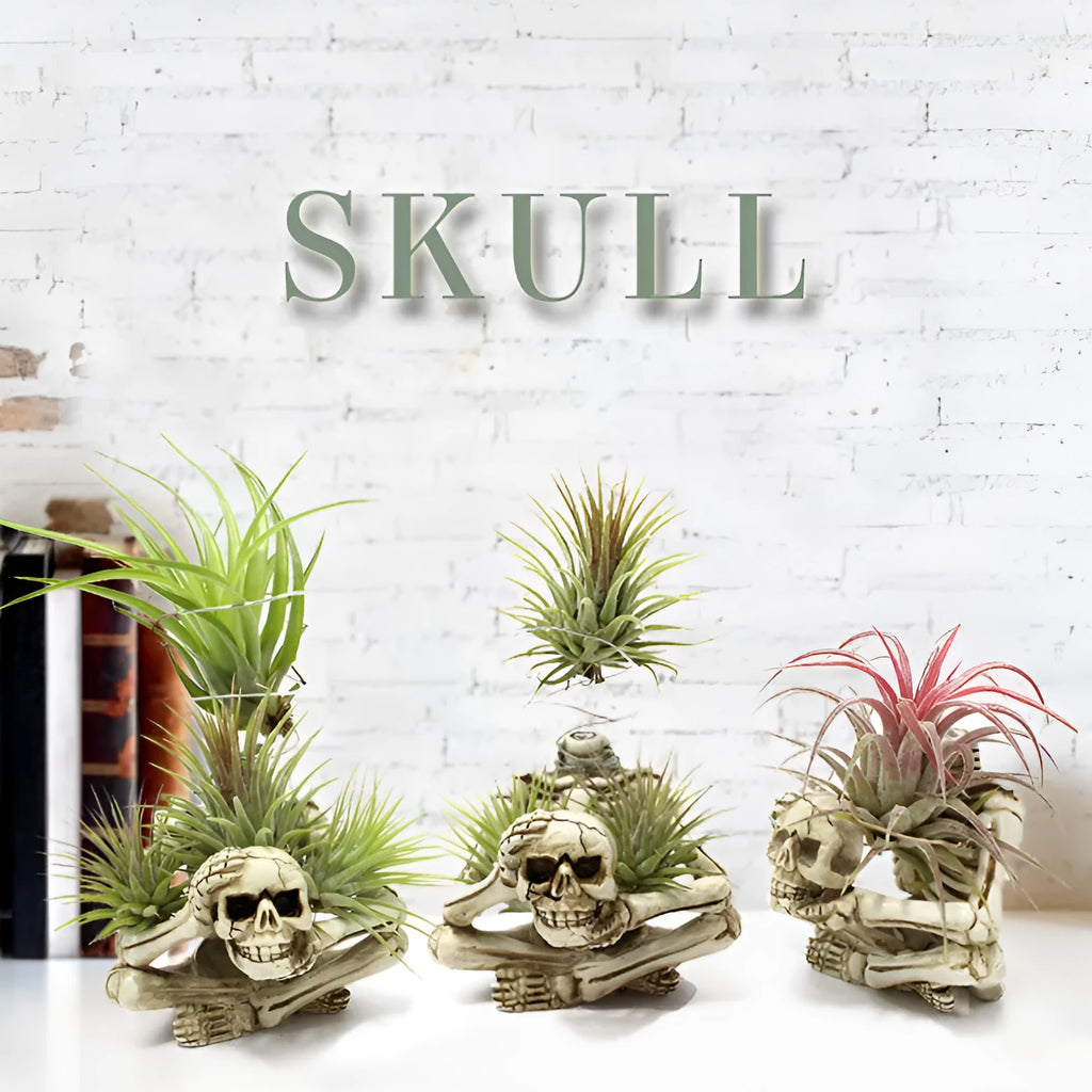 Skull design resin Tillandsia bracket with iron holder for soilless air plant display