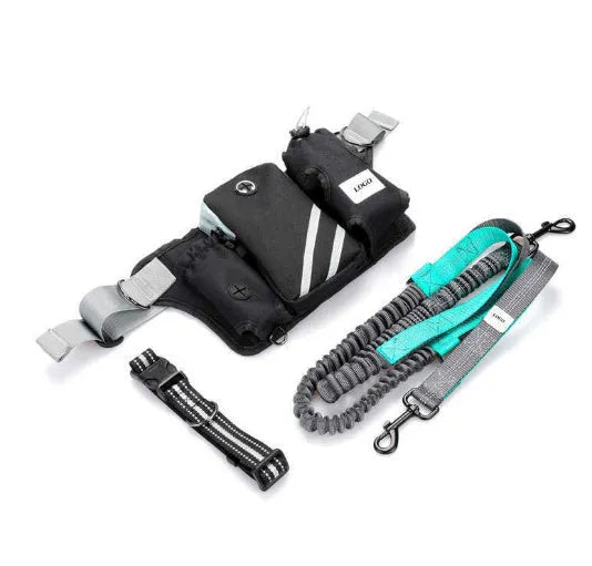 Black nylon dog walking waist bag and leash set for outdoor pet training activities