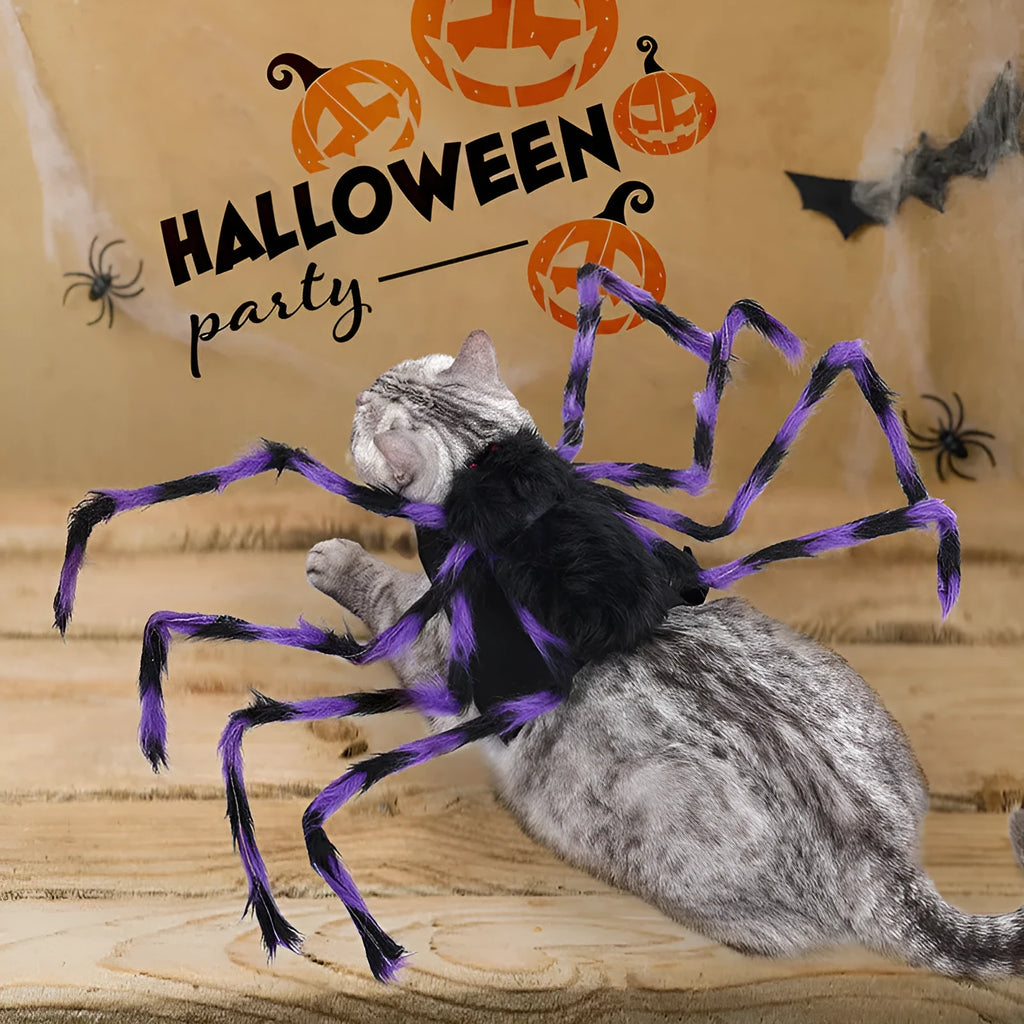 Halloween pet spider costume for dogs and cats in four colour options