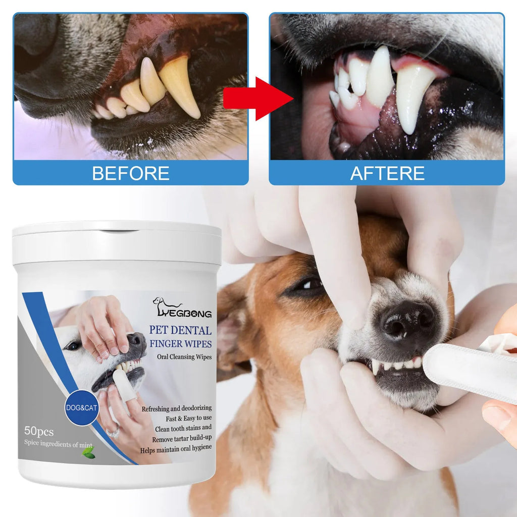 Can of 50 disposable dog dental finger stalls for teeth cleaning and plaque removal