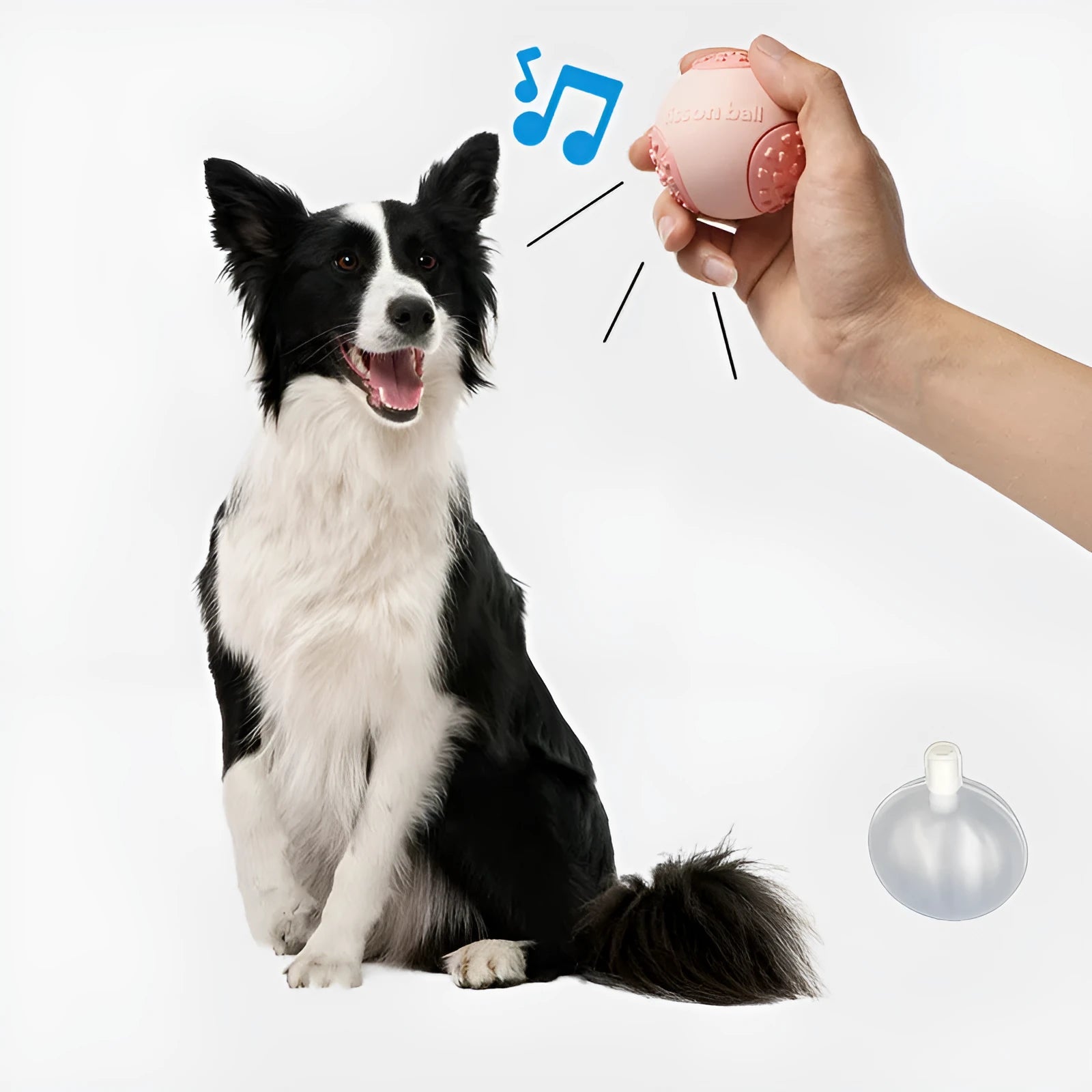 Green rolling ball dog toy with 64mm diameter for small medium dogs