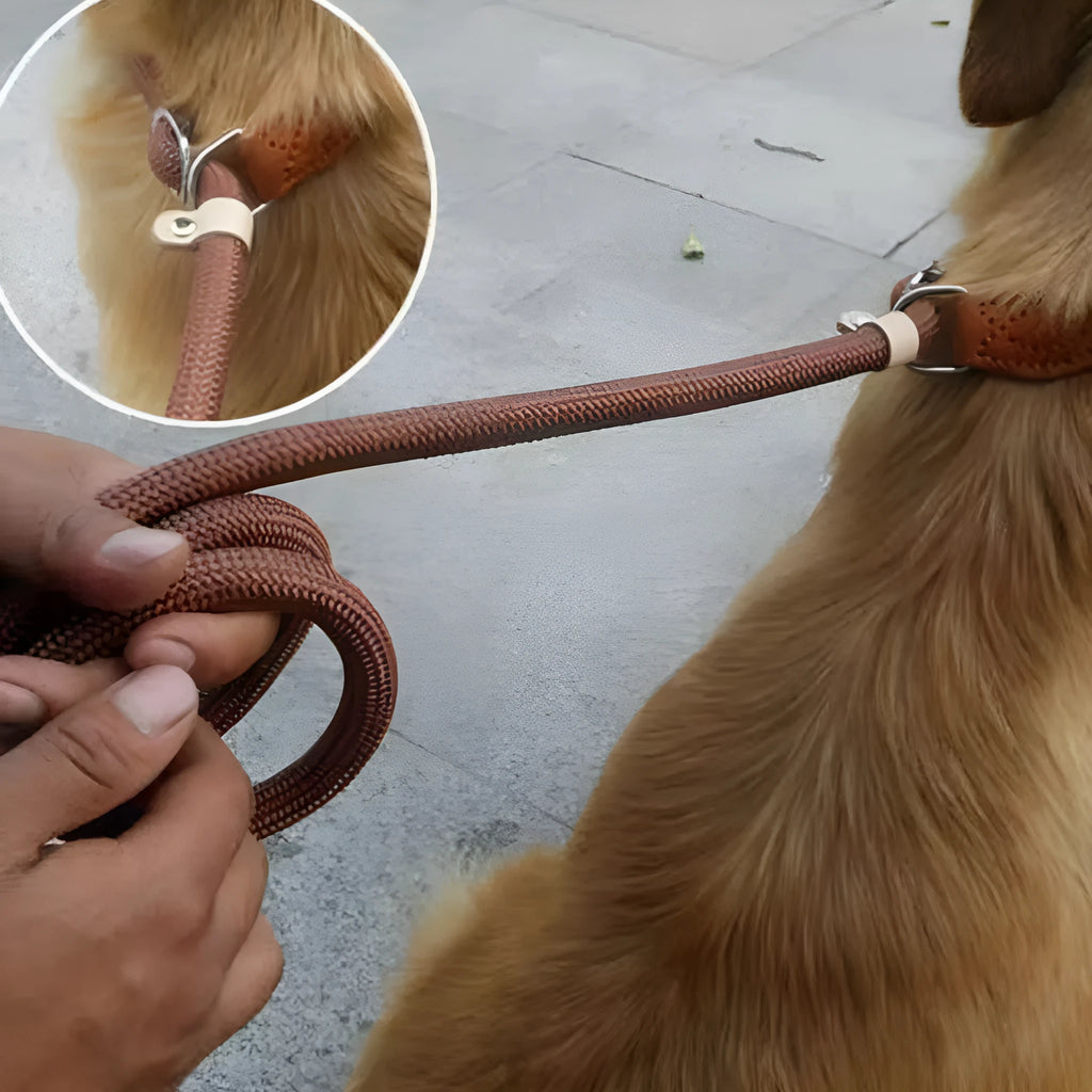 Brown nylon P-chain dog leash measuring 2.1 metres with hand holding rope