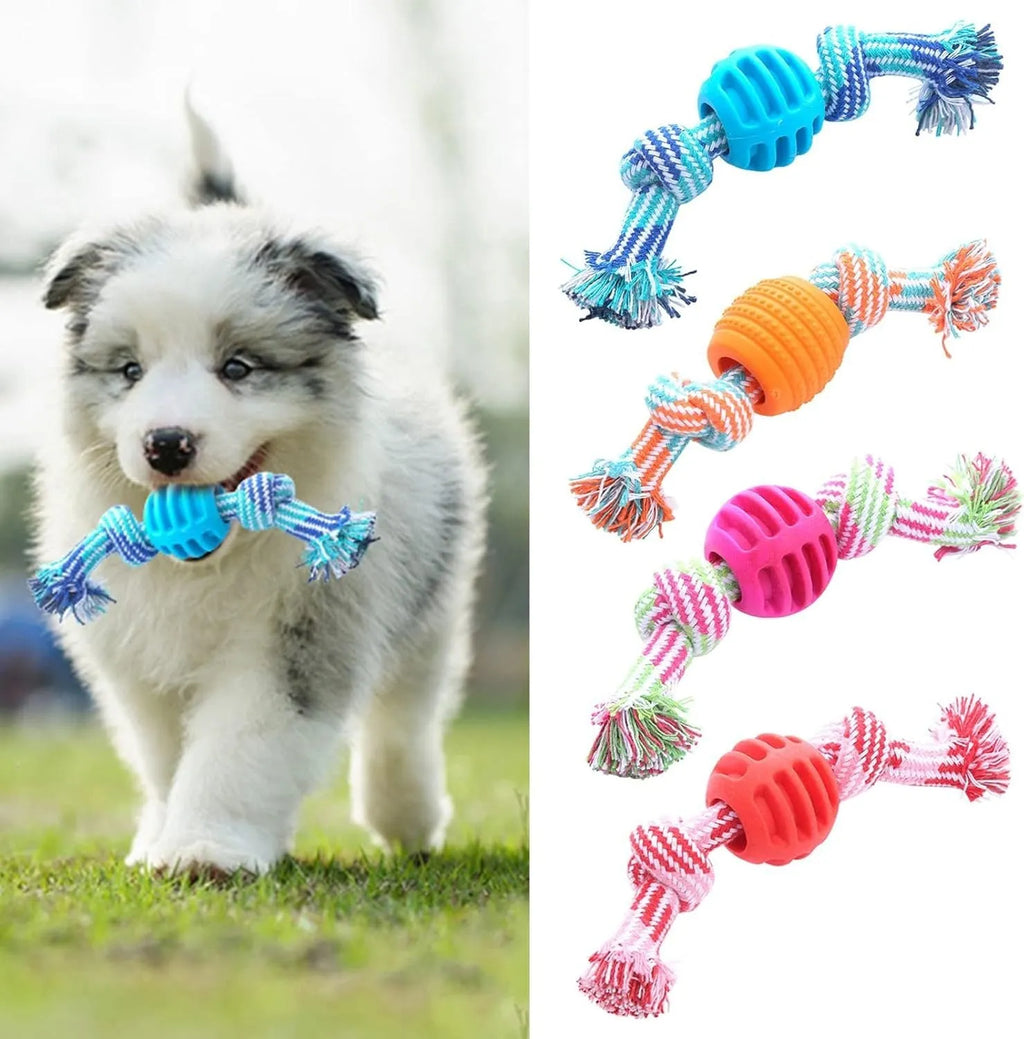 Blue dog chew toy with rope centrepiece for dental cleaning, approximately 9.5 cm diameter