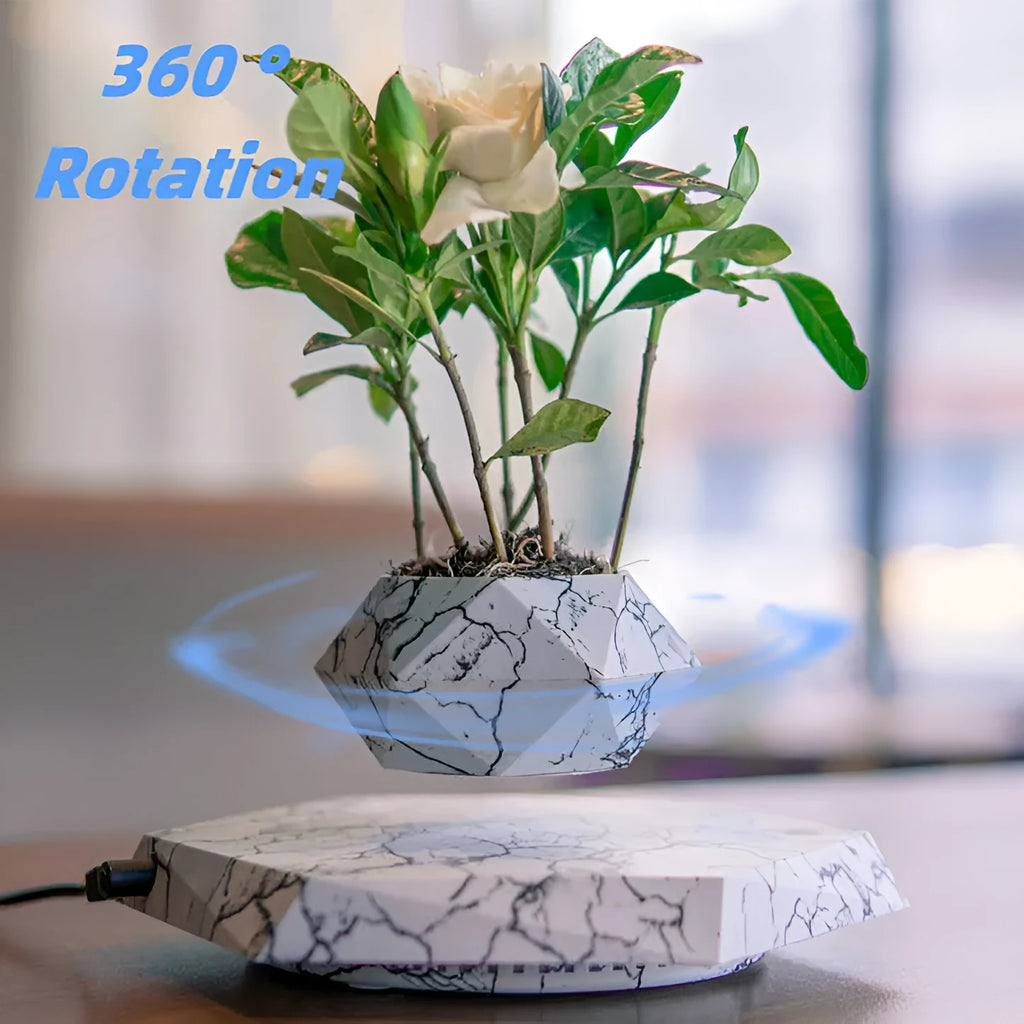 Marble-colour magnetic levitating plant pot floating and rotating a small succulent in mid-air.