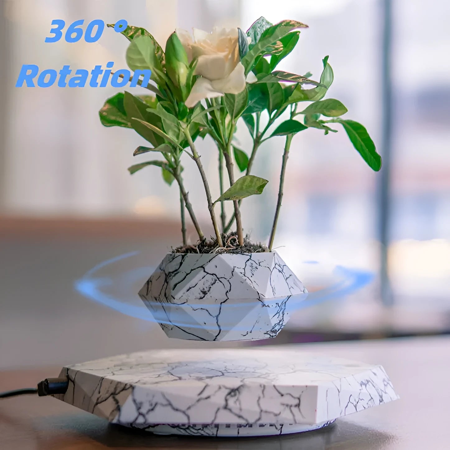 Marble-colour magnetic levitating plant pot floating and rotating a small succulent in mid-air.