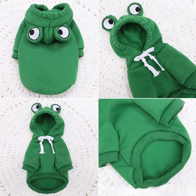 Green frog pattern hoodie on a small dog, showing hood and soft material, for Halloween cosplay.