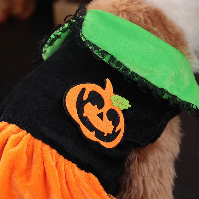 Halloween pumpkin skirt costume for small dog made from crystal velvet fabric with sizing tags