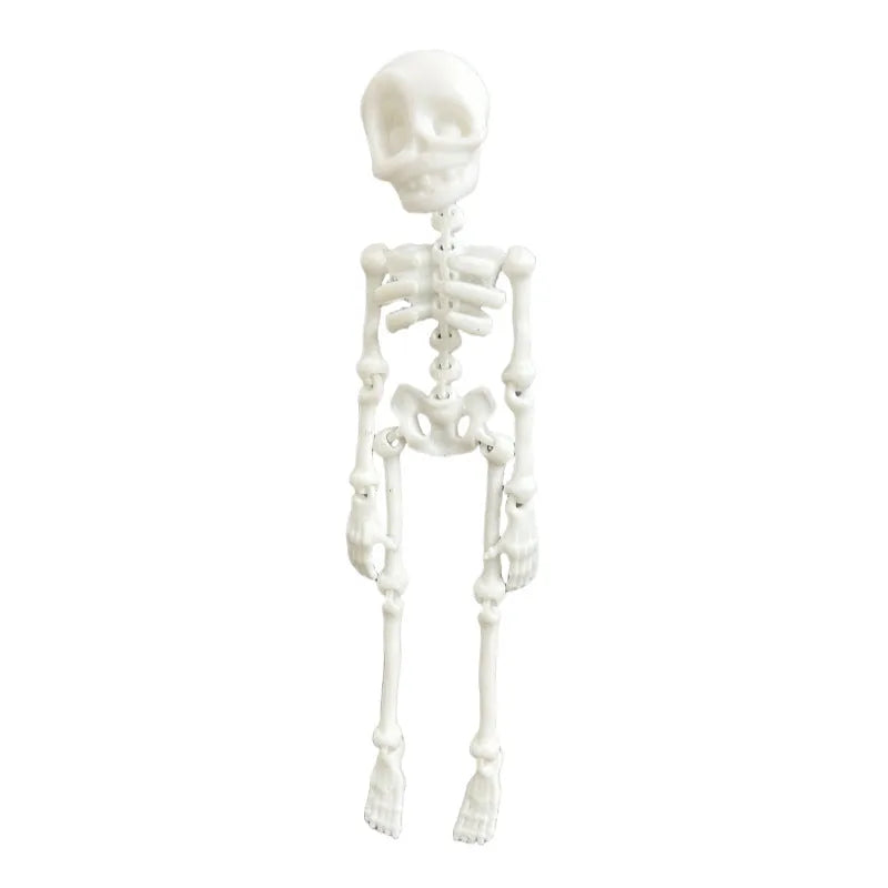 3D printed white skull refrigerator magnet showing detailed modelling at 18cm height