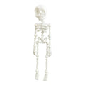 3D printed white skull refrigerator magnet showing detailed modelling at 18cm height