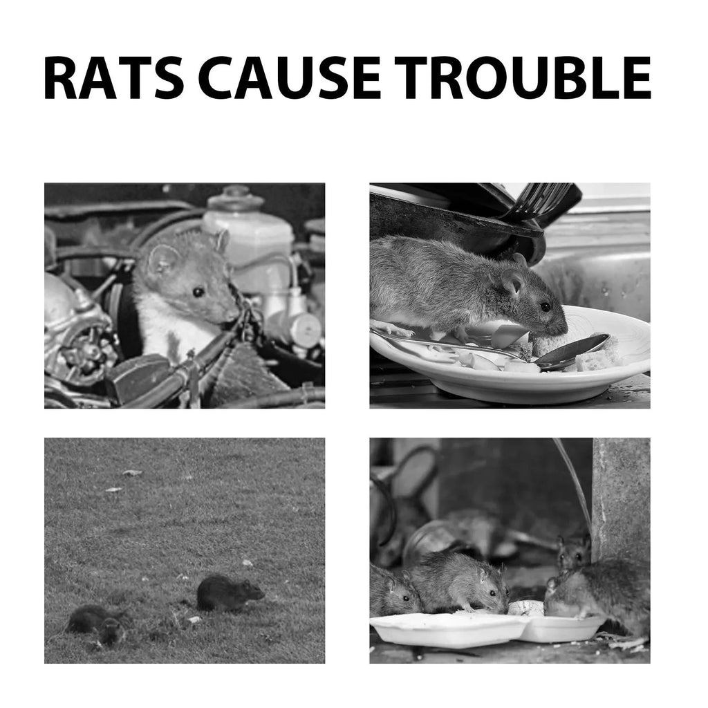 60ml bottle of natural rat repellent spray with essential oils for home and car use.