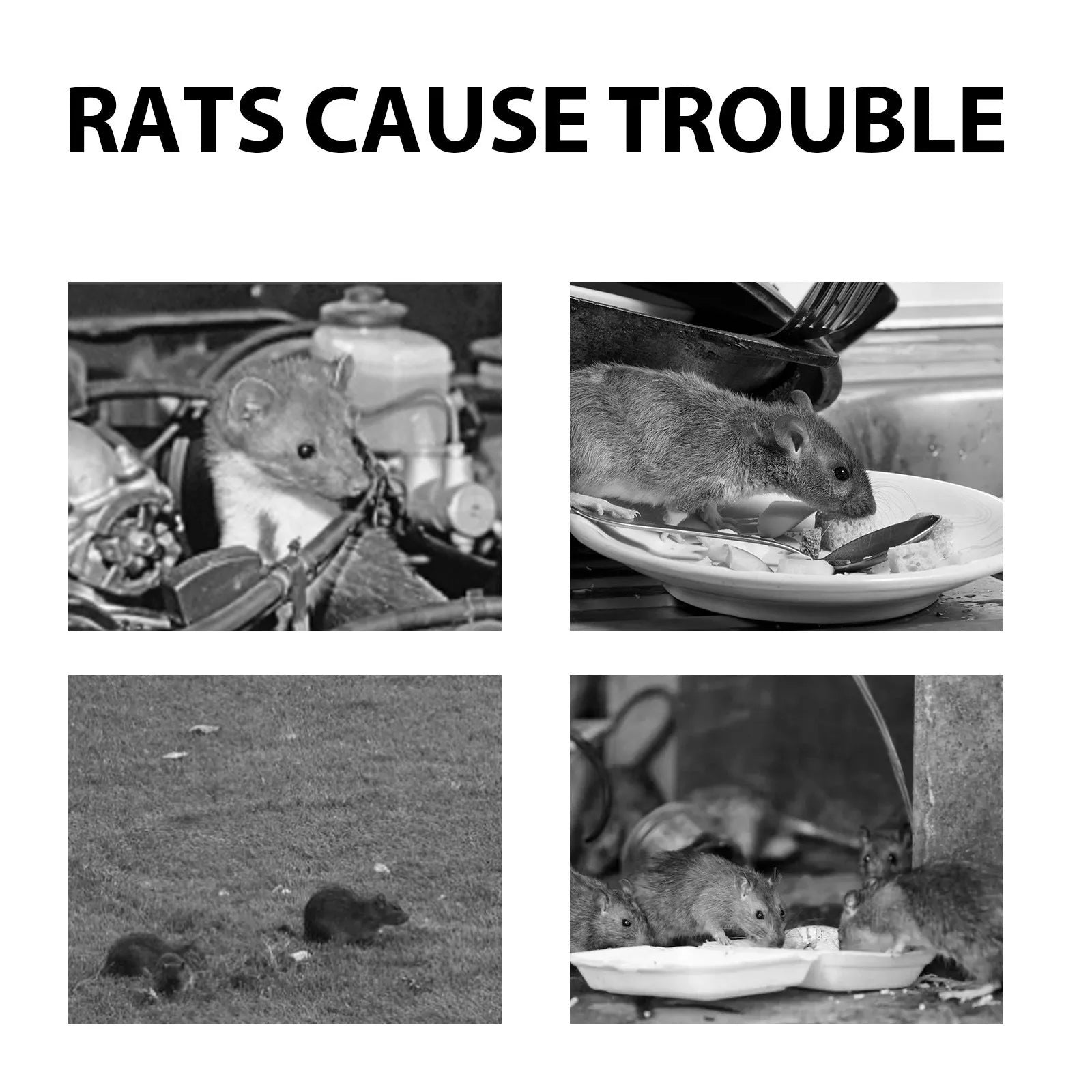 60ml bottle of natural rat repellent spray with essential oils for home and car use.
