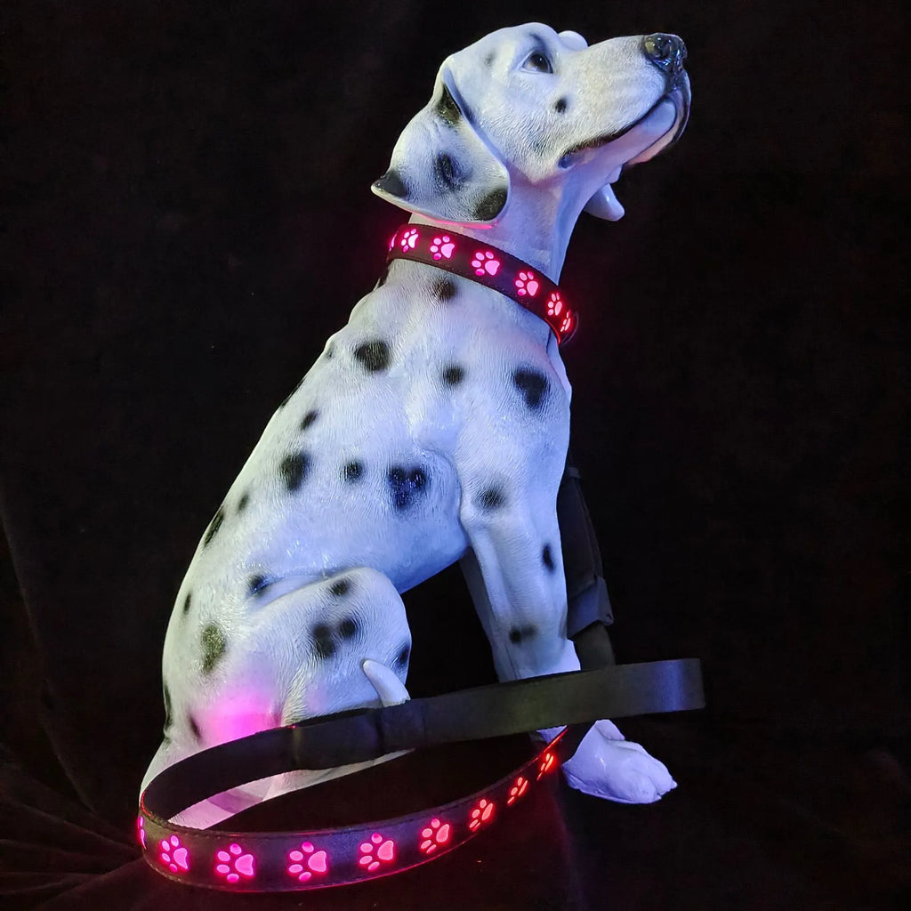 Creative dog luminous collar with multi-colour LED paw print design on adjustable polyester band
